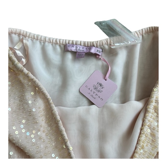 CALYPSO Women’s Strapless Sequined Mini Dress with Tassels in Light Pink - Picture 3 of 3